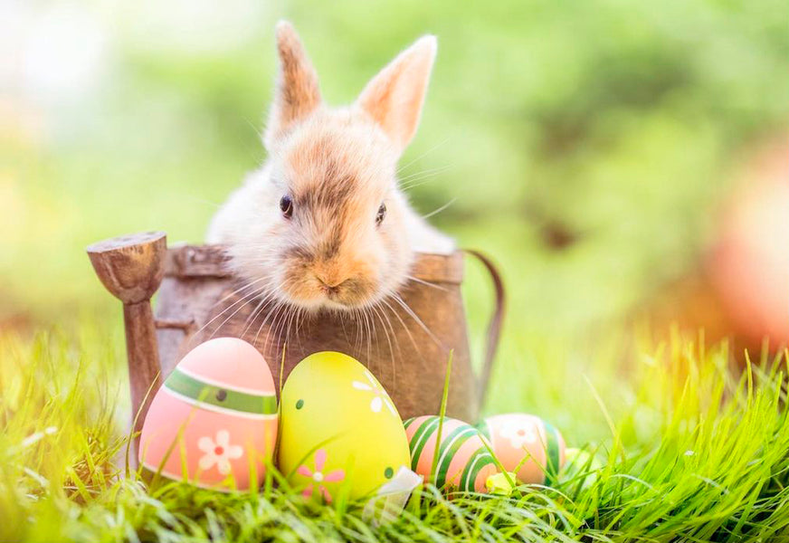 6 Fun Easter Traditions From Around The World